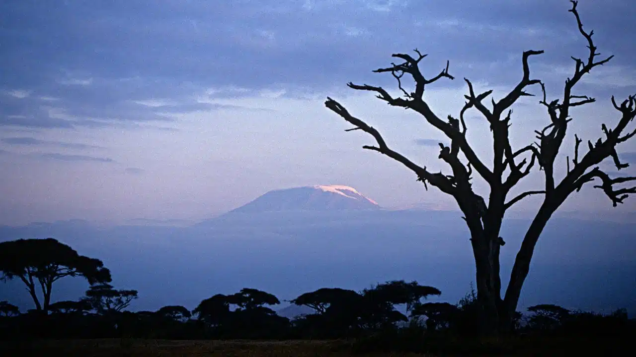 Amboseli Mount Kilimanjaro View