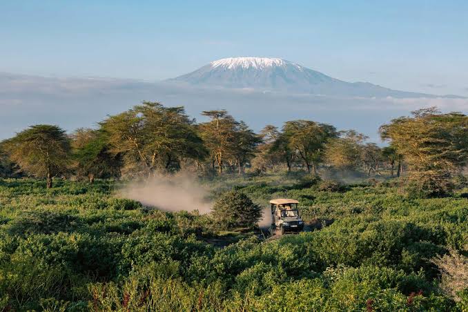 Amboseli private game drive Kenya