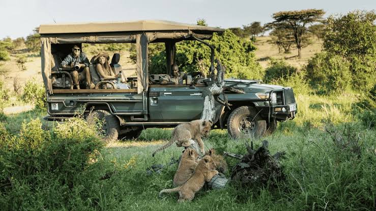 Masai Mara game drive with Timken Tours Kenya