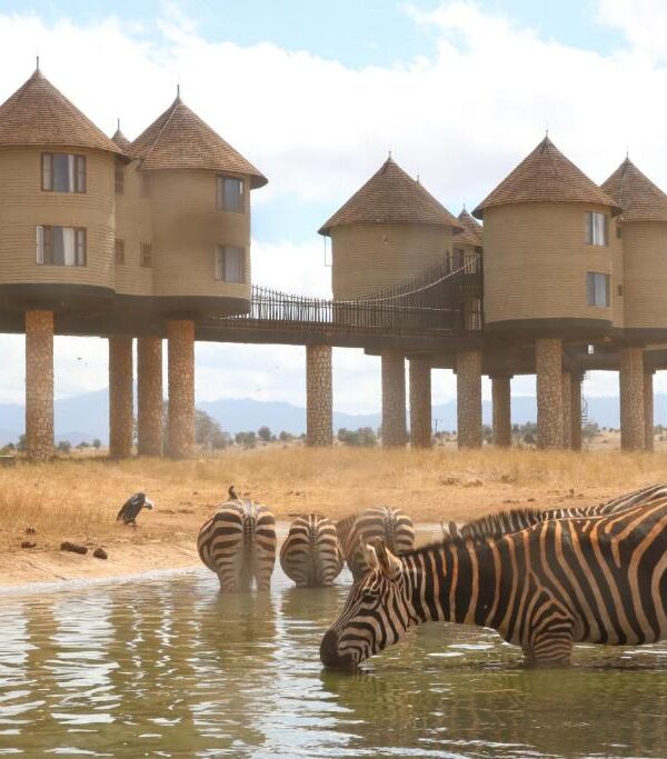 safari from Diani beach to Taita Hills