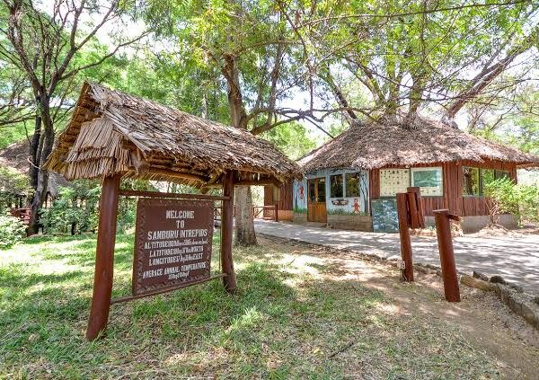 Samburu Intrepids Camp