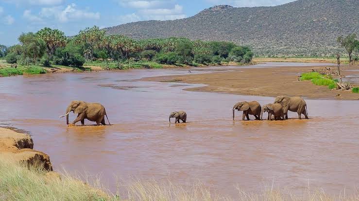 Samburu National Reserve