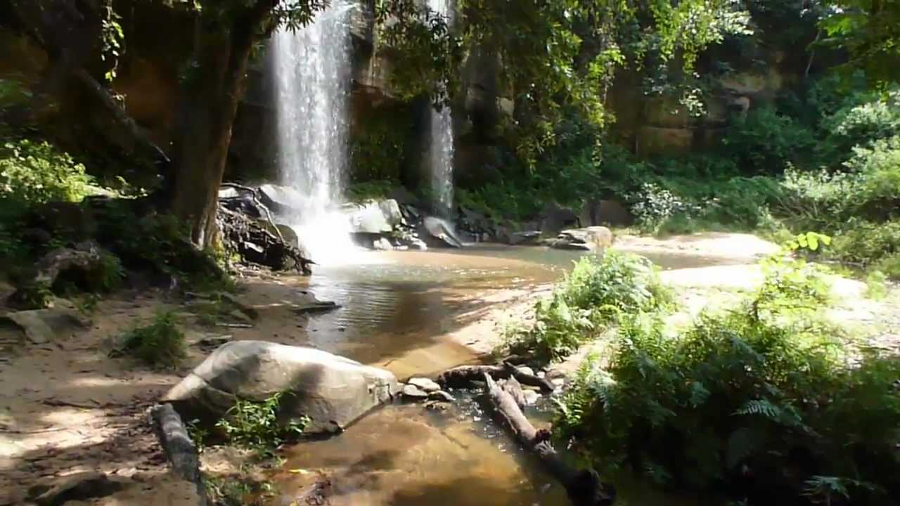 Shimba Hills National Park Day Trip