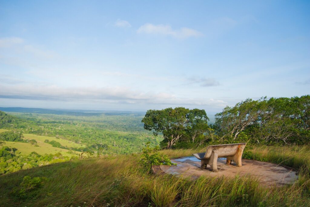 Shimba Hills Scenic View