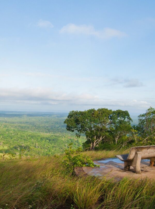 Shimba Hills Scenic View
